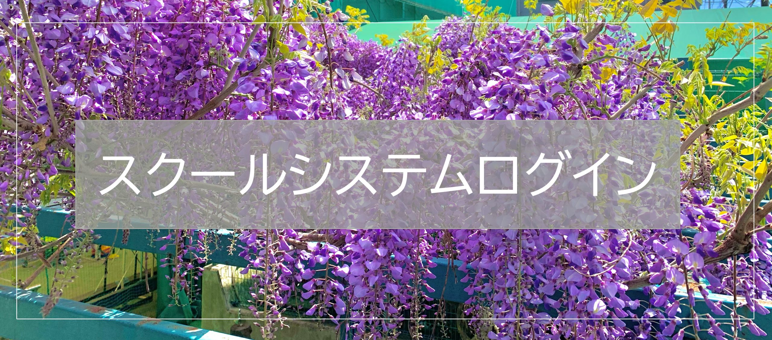 新スクールシステムログイン